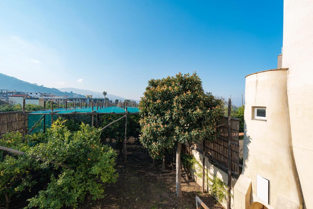 Hotel Pane E Marmellata Sant'Agnello Exteriér fotografie