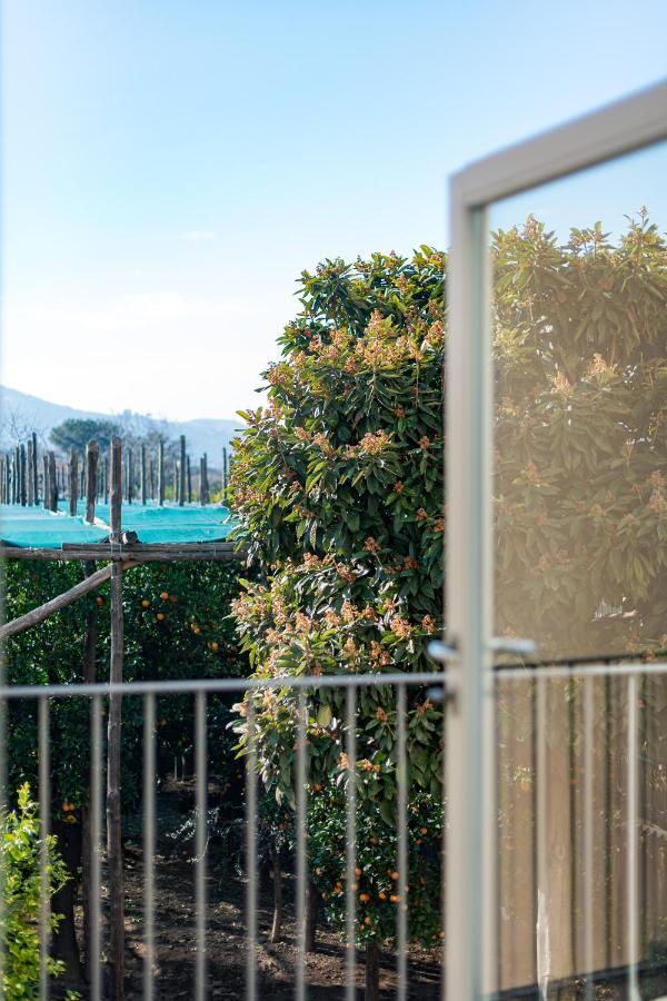 Hotel Pane E Marmellata Sant'Agnello Exteriér fotografie
